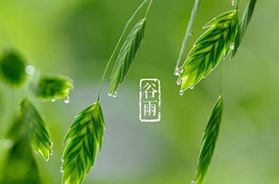 谷雨，播种希望