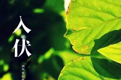 入伏在即，酷暑将至