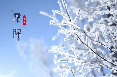 叶落草枯，秋晚凝霜