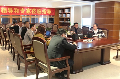 风能巨头“维斯塔斯”莅临湖南yw永旺快投网电气考察