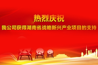 热烈庆祝我公司获得湖南省战略新兴工业项目的支持