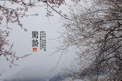 春雷起，惊蛰出