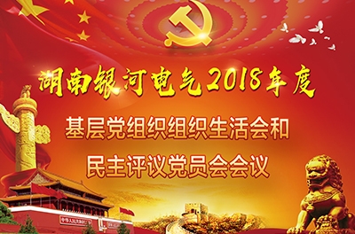 yw永旺快投网电气召开2018年度下层党组织组织生涯会和开展民主评议党员聚会